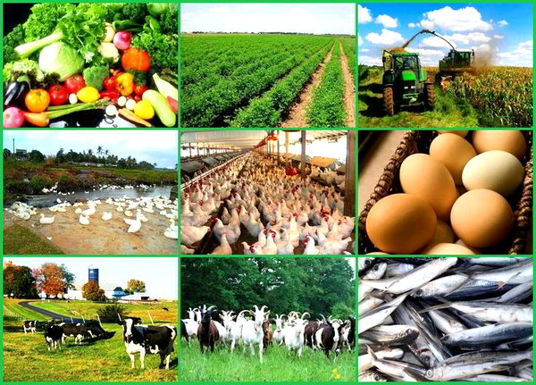 Types-of-Farming-in-India-with-Beneficial-Guidance Types-of-Farming-in-India-with-Beneficial-Guidance