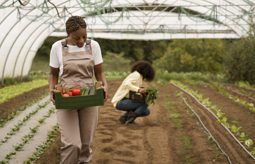 full-shot-women-farming-together full-shot-women-farming-together