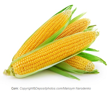 Sweet corn